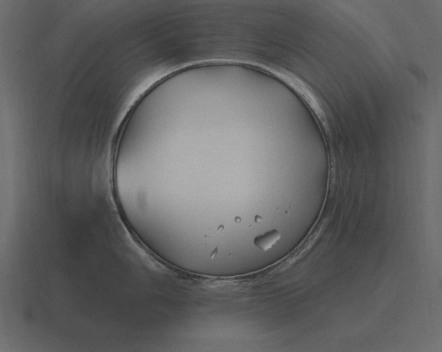 X0000116631006200912241809