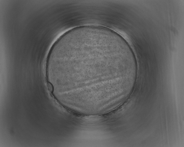 X0000116631008200912241809