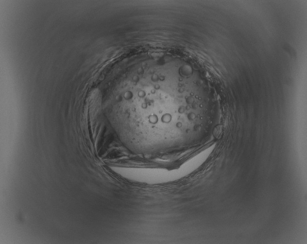 X0000116631009200912241808