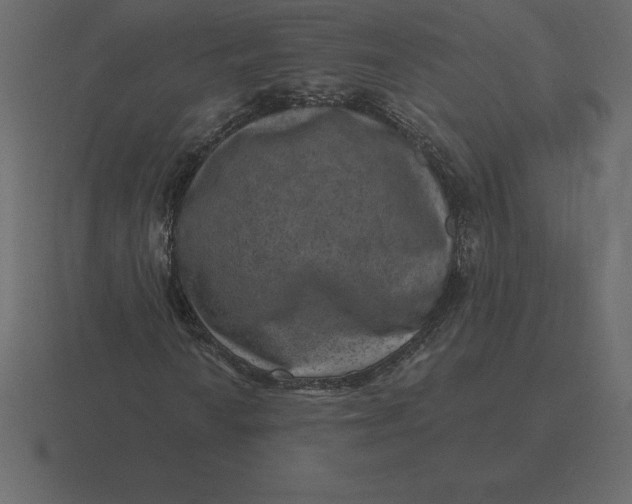 X0000116631010200912241808