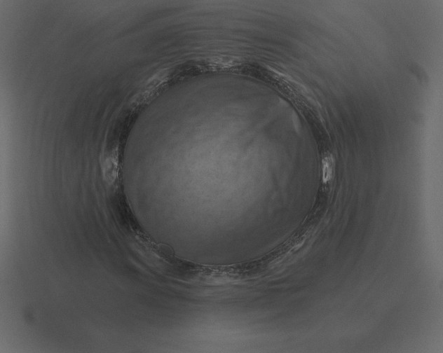 X0000116631011200912241808