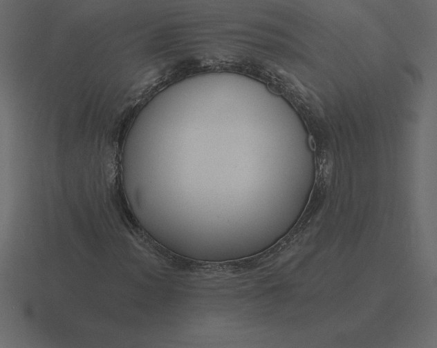 X0000116631012200912241808