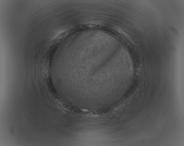 X0000116631014200912241808