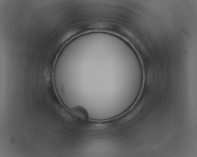 X0000116631017200912241808