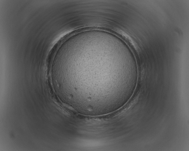 X0000116631019200912241808