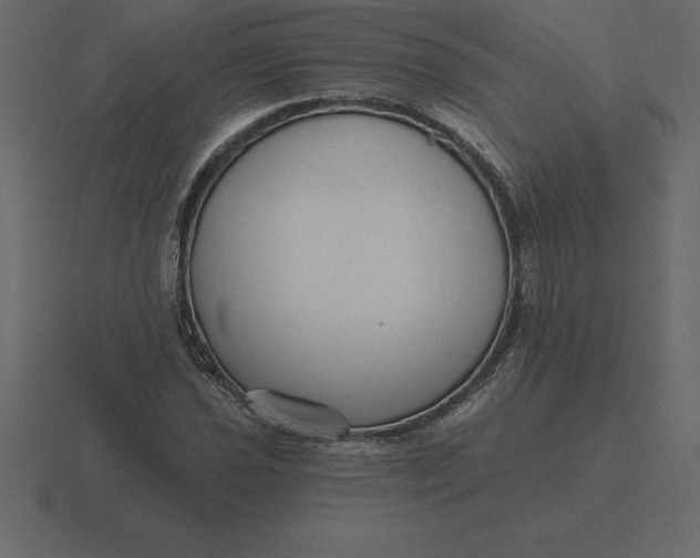 X0000116631021200912241808