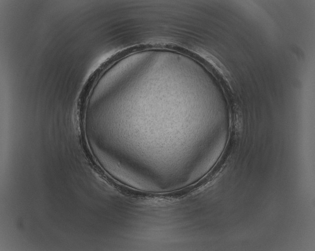 X0000116631022200912241808