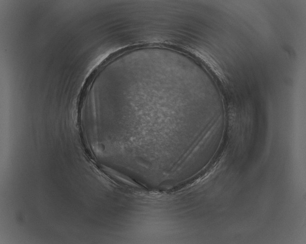 X0000116631023200912241808