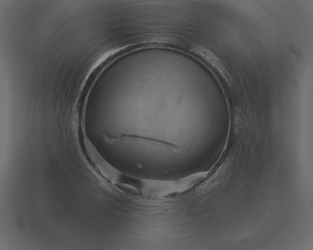 X0000116631024200912241808