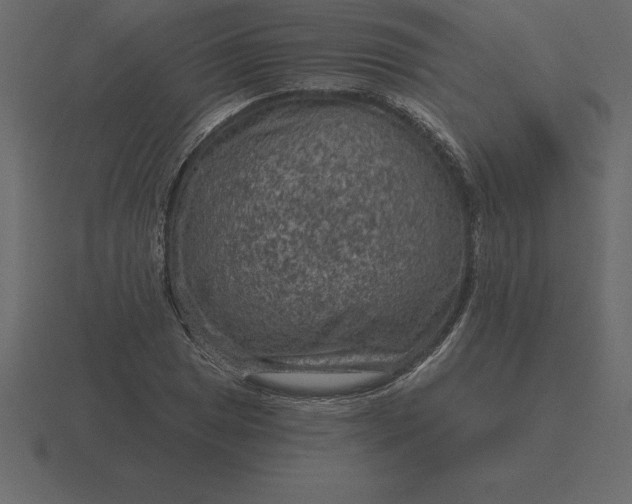 X0000116631025200912241808