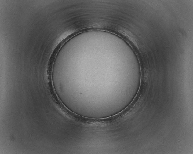 X0000116631026200912241808