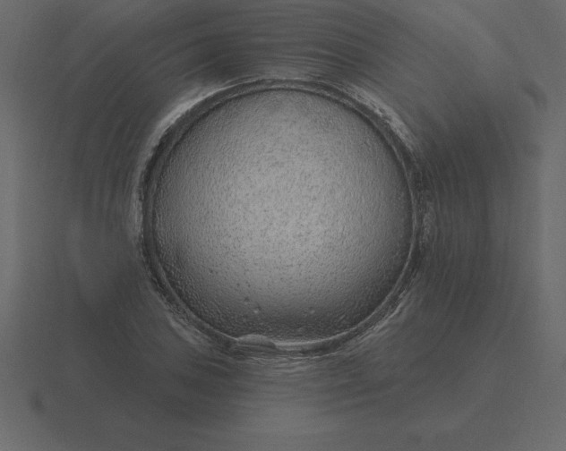 X0000116631027200912241808