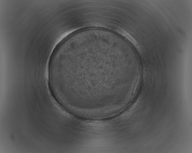 X0000116631028200912241808