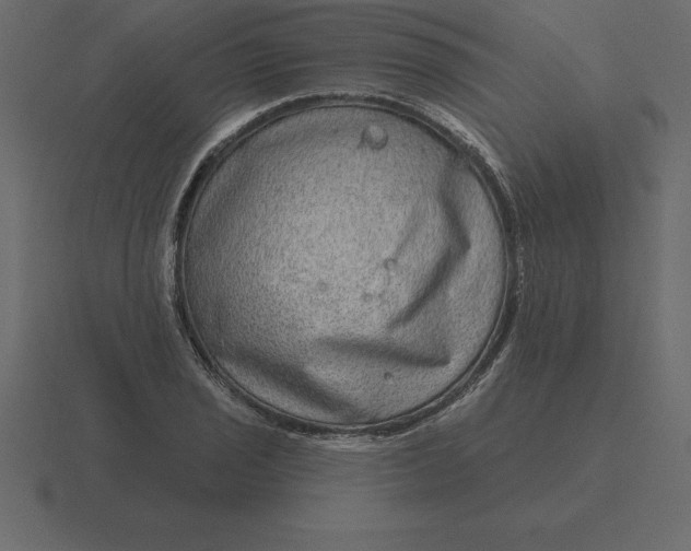 X0000116631029200912241808