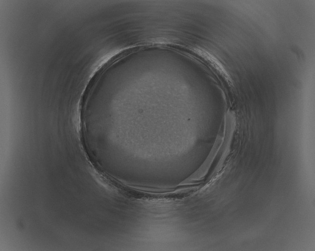 X0000116631031200912241808