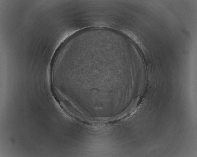 X0000116631032200912241808