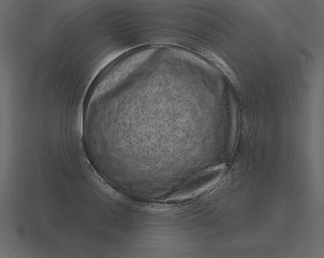 X0000116631036200912241808