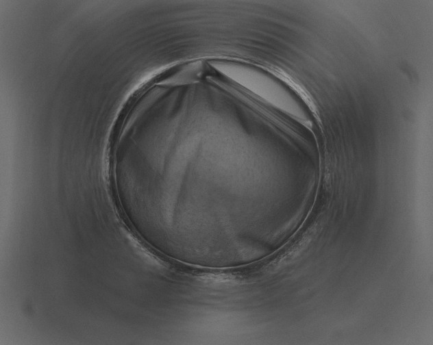 X0000116631037200912241808