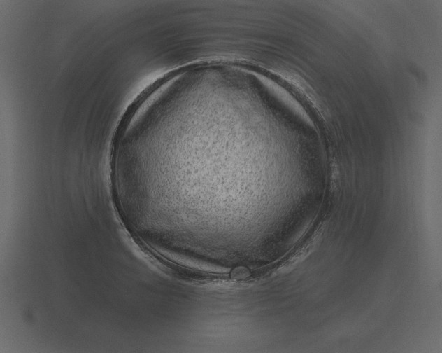 X0000116631038200912241808