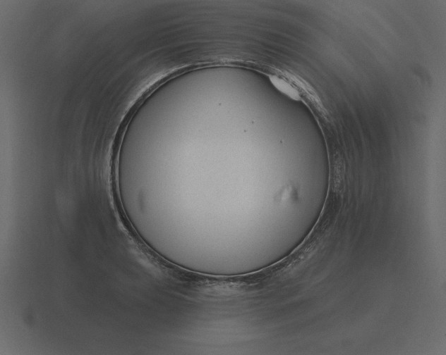 X0000116631039200912241808