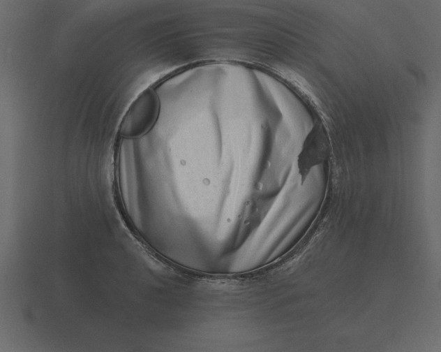 X0000116631040200912241808