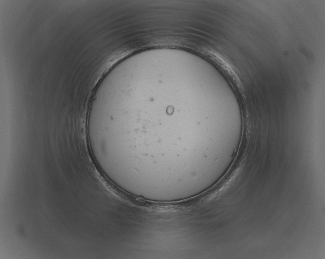 X0000116631041200912241808