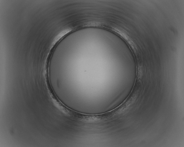 X0000116631042200912241808