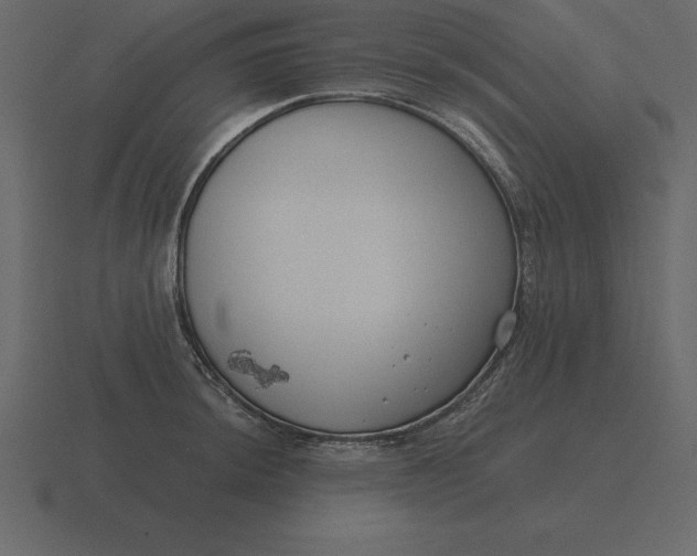 X0000116631044200912241808