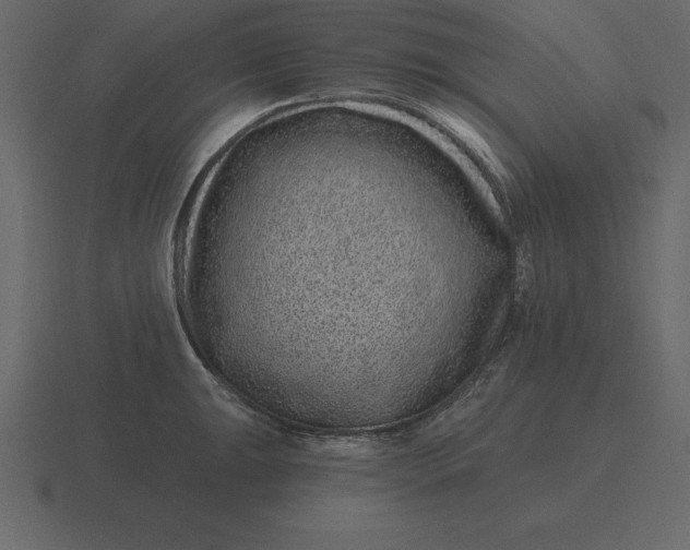 X0000116631047200912241808