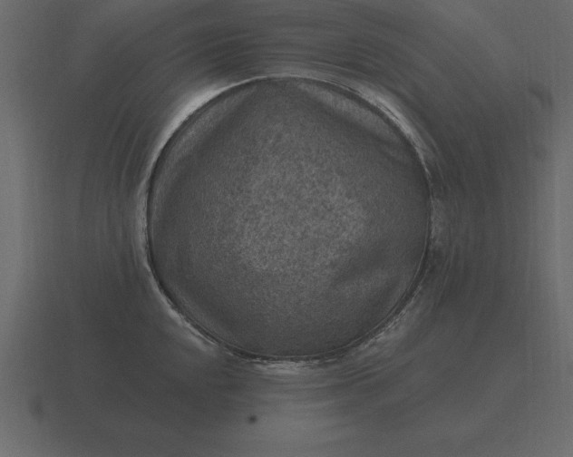 X0000116631048200912241808