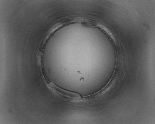 X0000116631049200912241808