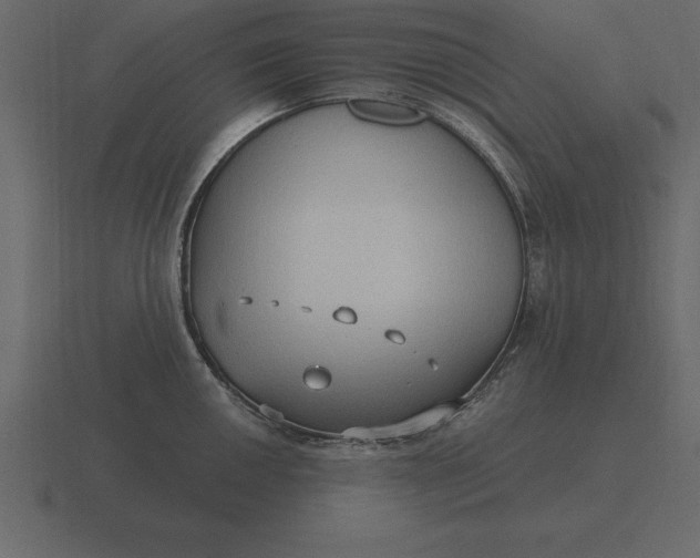 X0000116631050200912241808