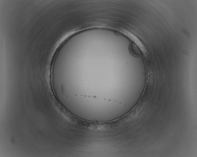 X0000116631051200912241808