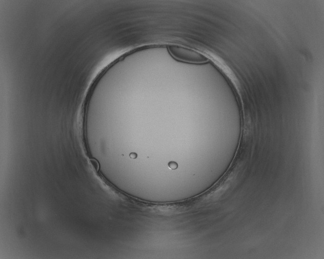 X0000116631053200912241808