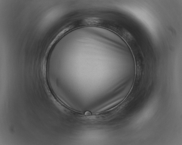 X0000116631054200912241808