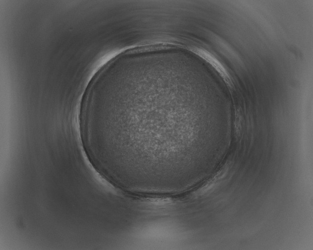 X0000116631055200912241808