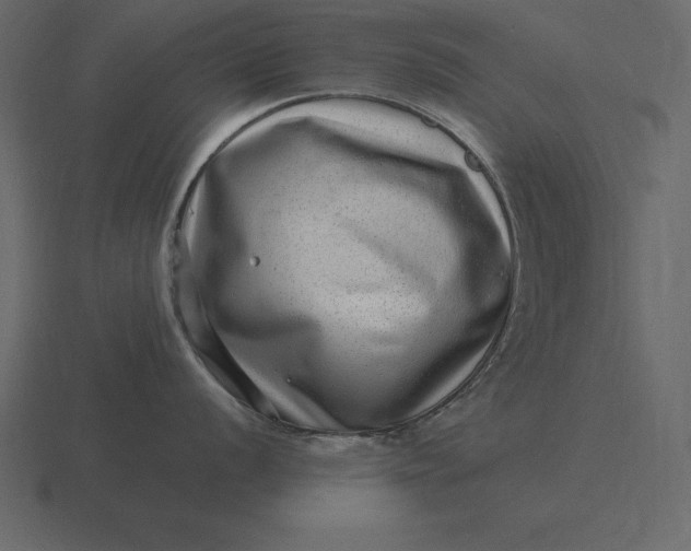 X0000116631056200912241809