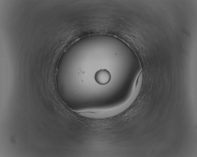 X0000116631057200912241808