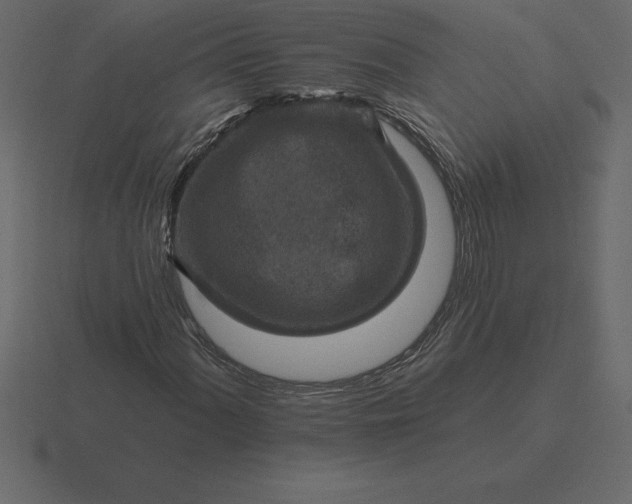 X0000116631060200912241808