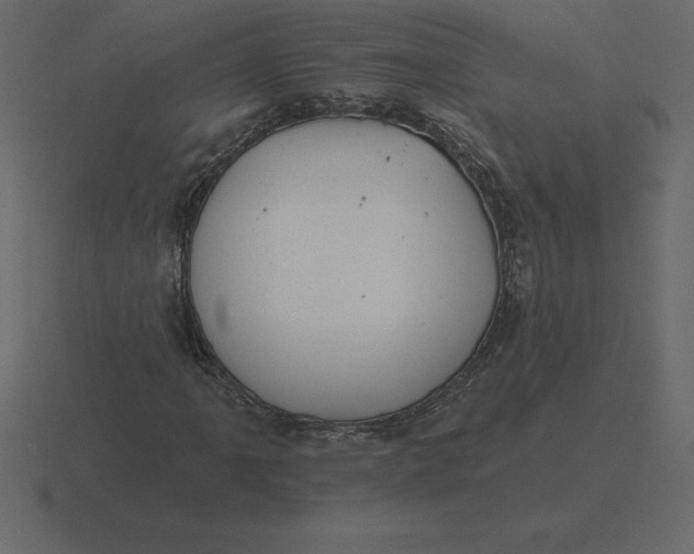 X0000116631061200912241808