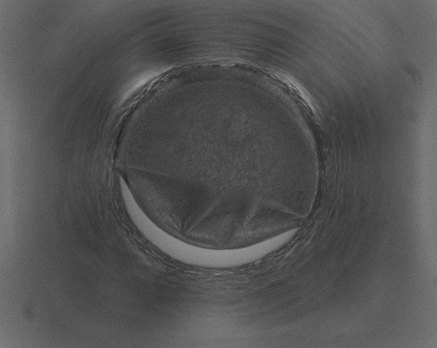 X0000116631064200912241808