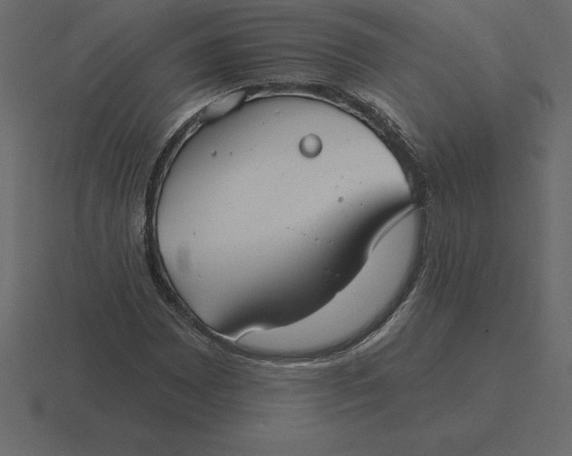 X0000116631065200912241808