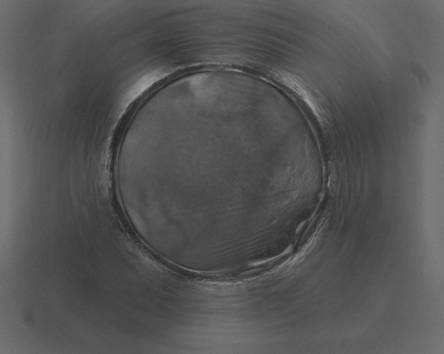 X0000116631071200912241808