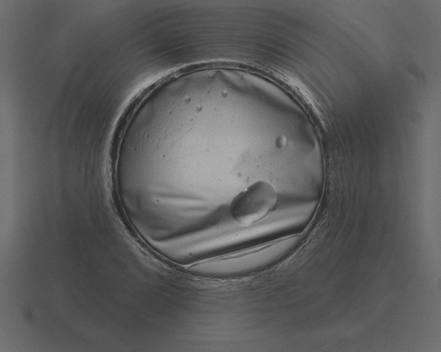 X0000116631072200912241808