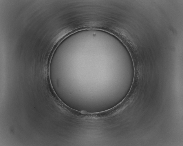 X0000116631073200912241808