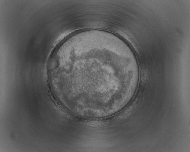 X0000116631074200912241808