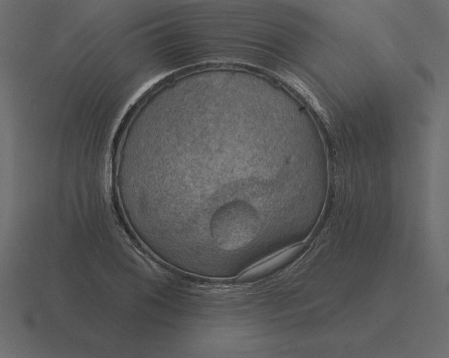 X0000116631076200912241808