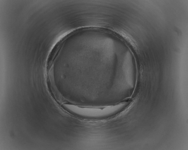 X0000116631077200912241808