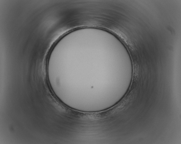 X0000116631078200912241808