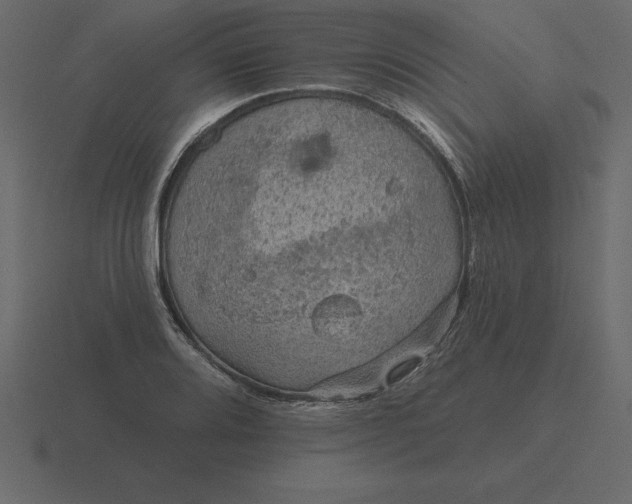 X0000116631080200912241808